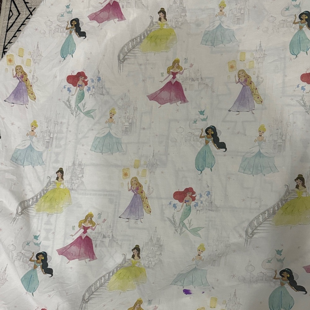 Pottery Barn Kids Princess Bedding Sheets - Multicolor